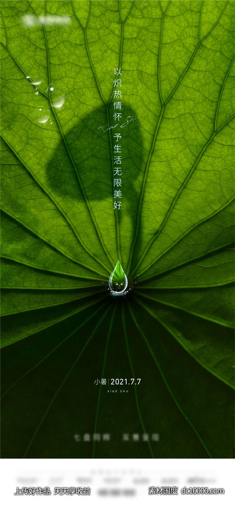 地产节气 大暑 小暑 夏日 清凉-源文件-素材国度dc10000.com