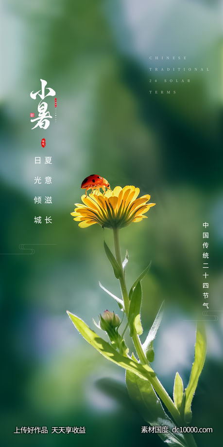 大暑 小暑 节气 海报 - 源文件