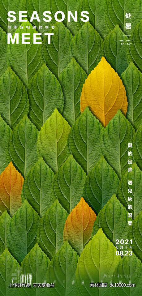 处暑树叶创意海报-源文件-素材国度dc10000.com