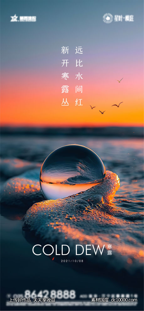  寒露节气海报 - 源文件