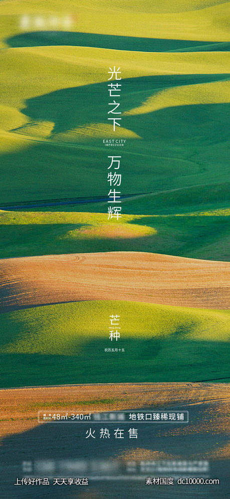 芒种节日海报  地产广告-源文件-素材国度dc10000.com