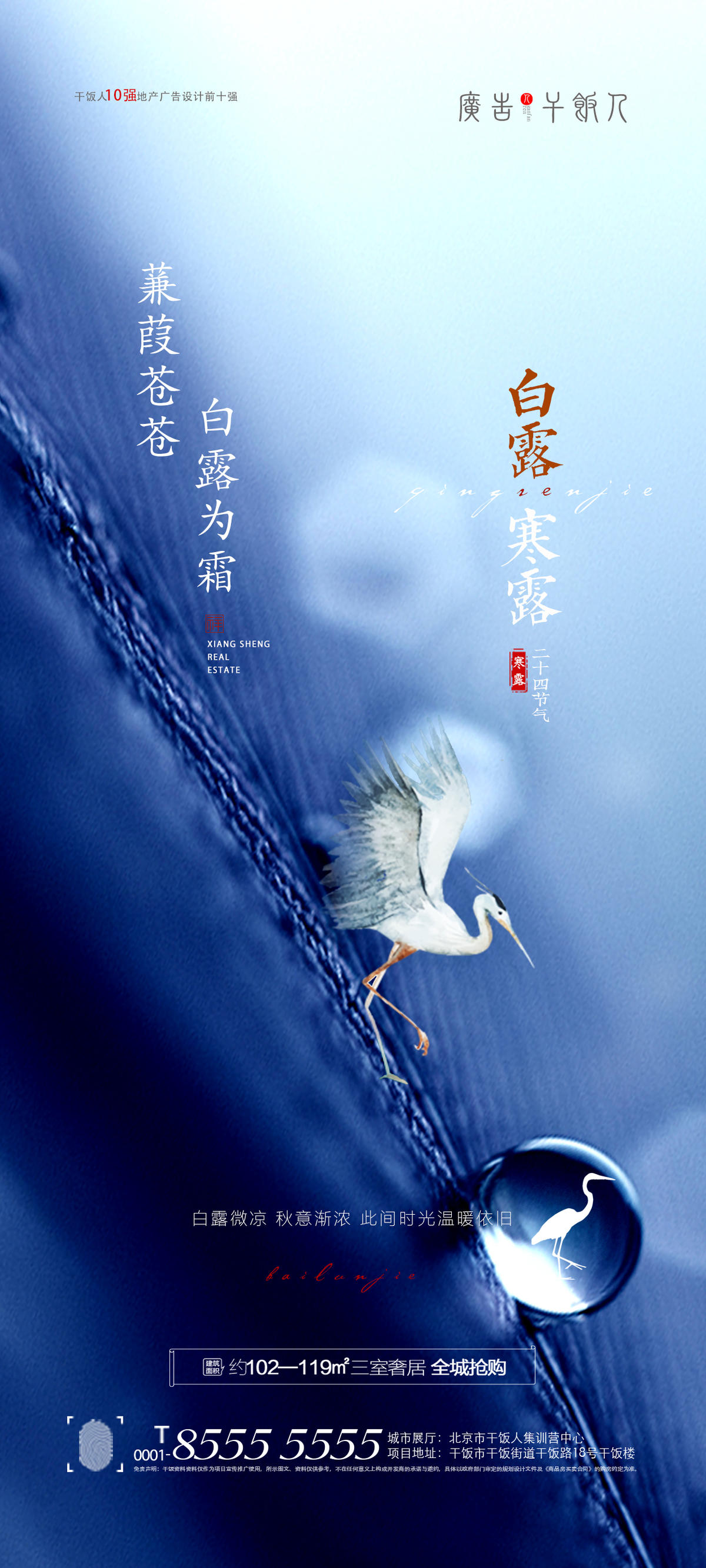 白露寒露节气海报