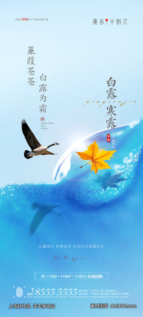 白露寒露节气海报-源文件-素材国度dc10000.com