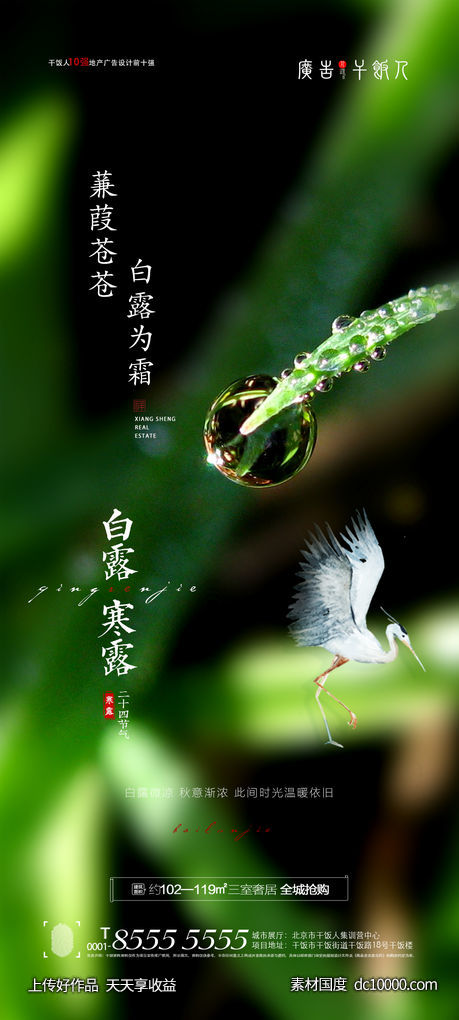 白露寒露节气海报-源文件-素材国度dc10000.com