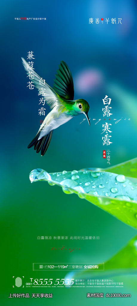 白露寒露节气海报-源文件-素材国度dc10000.com