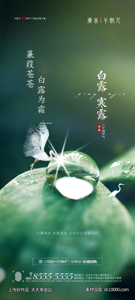 白露寒露节气海报-源文件-素材国度dc10000.com