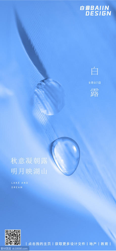 二十四节气节日蓝色白露露珠 - 源文件