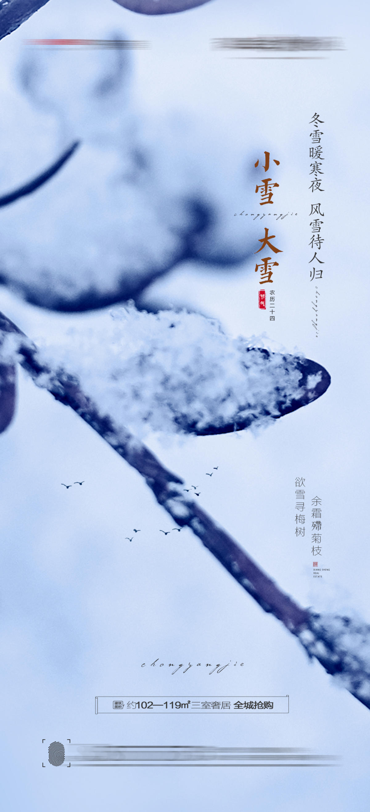 大雪小雪海报