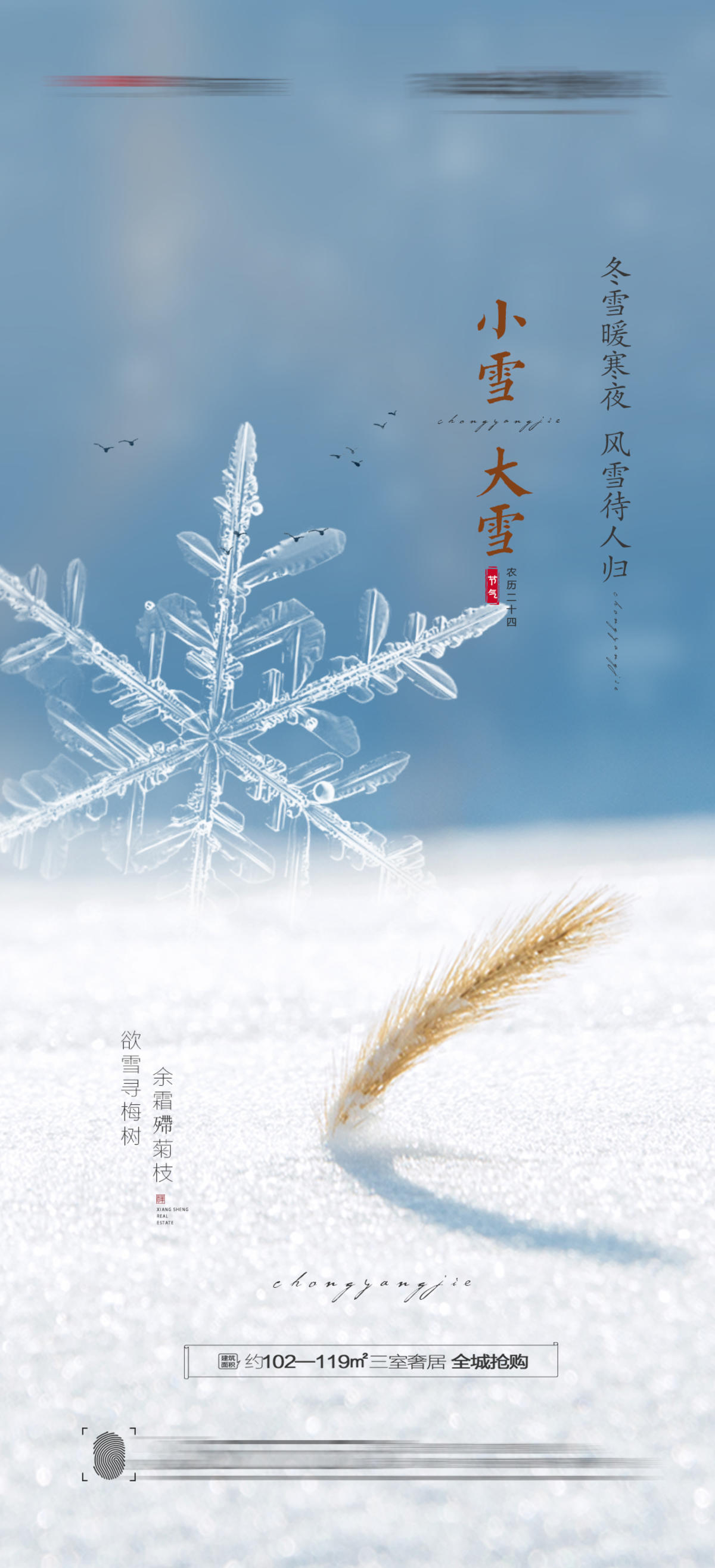 大雪小雪海报