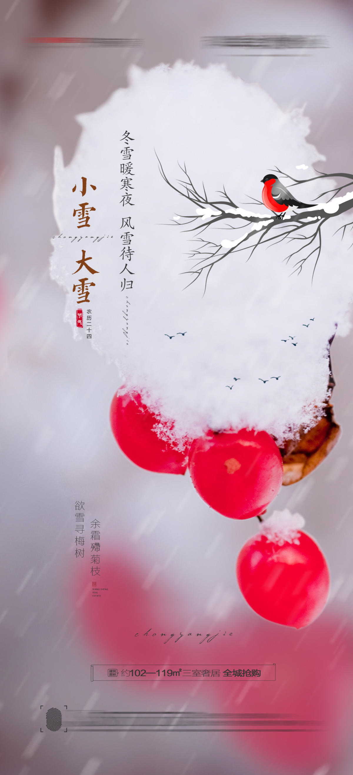 大雪小雪海报