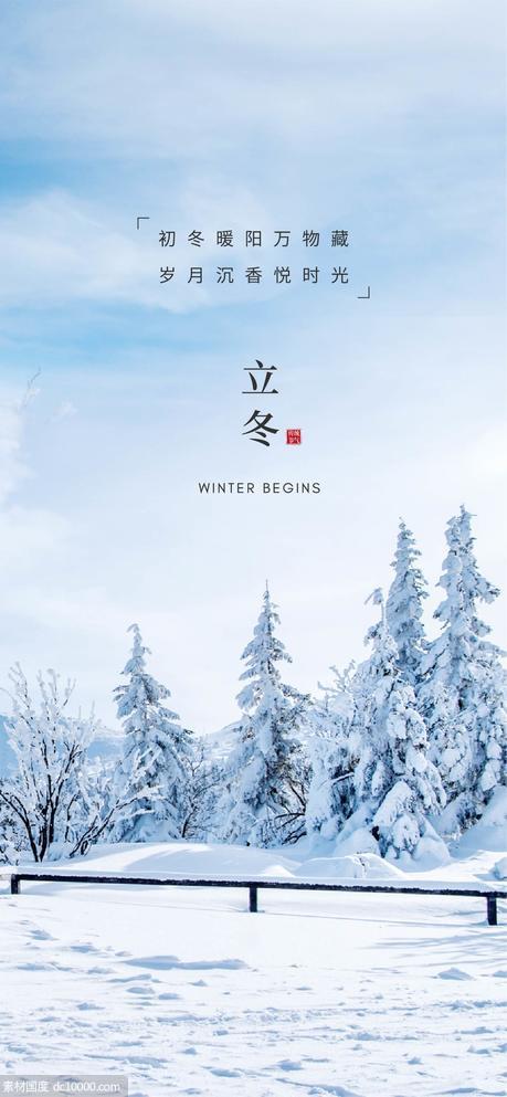 立冬白雪松树自然景观 - 源文件