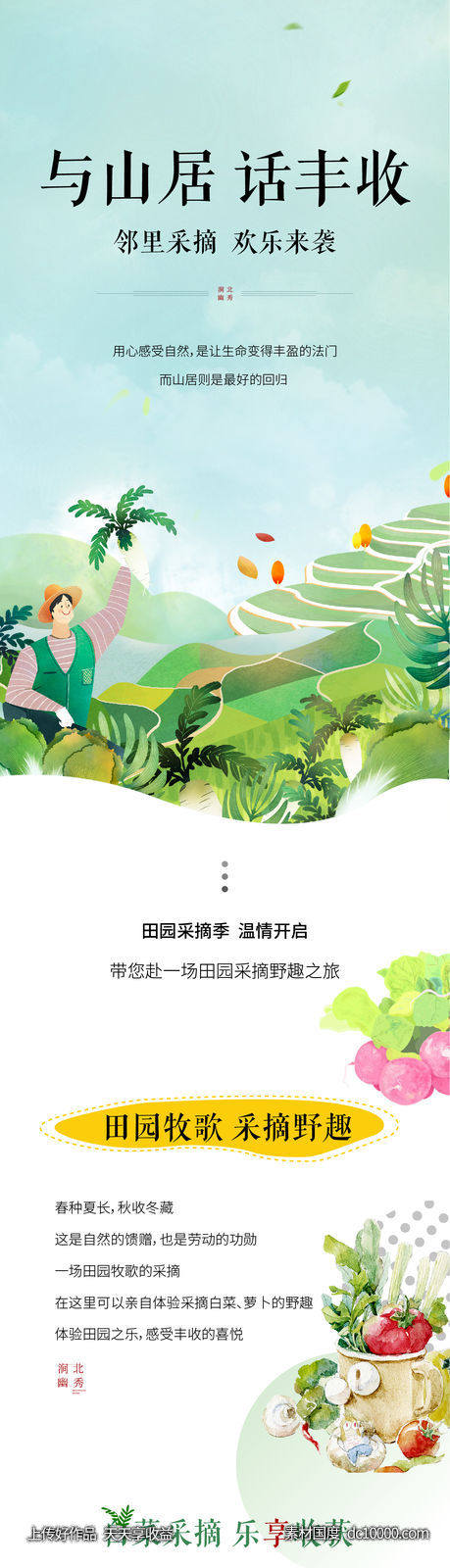 山居白菜萝卜采摘活动长图-源文件-素材国度dc10000.com