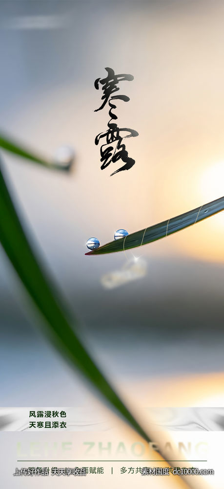 寒露节气海报-源文件-素材国度dc10000.com
