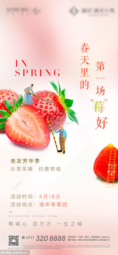 春天 草莓 水果 美好 粉色 地产 - 源文件
