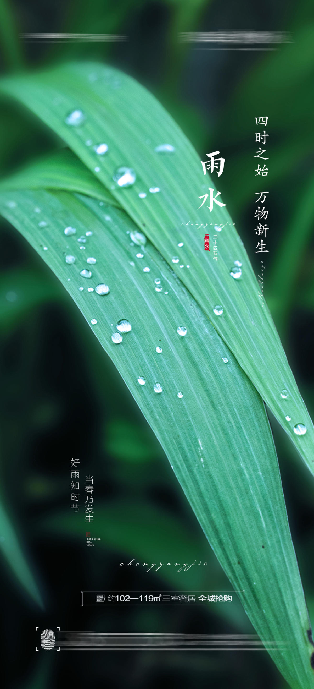 雨水节气海报