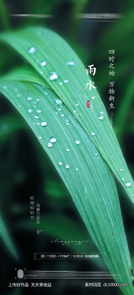 雨水节气海报 - 源文件