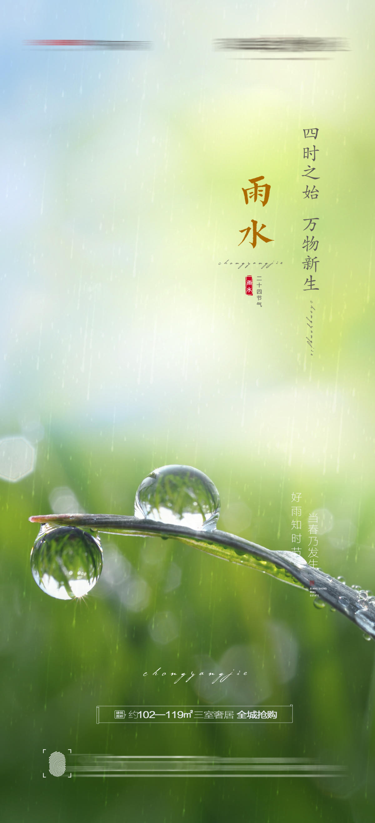 雨水节气海报