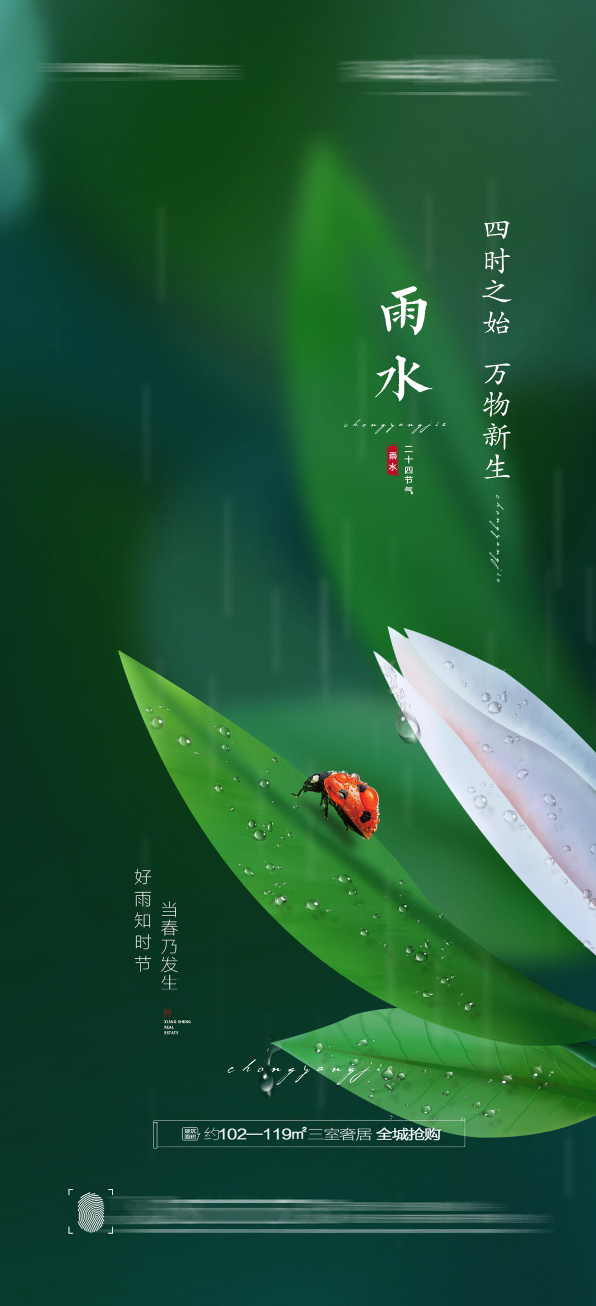 雨水节气海报