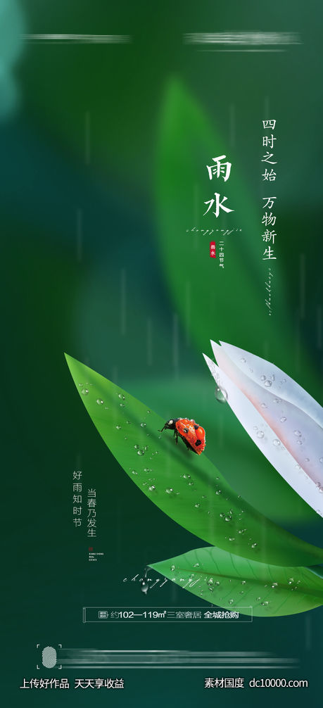 雨水节气海报 - 源文件