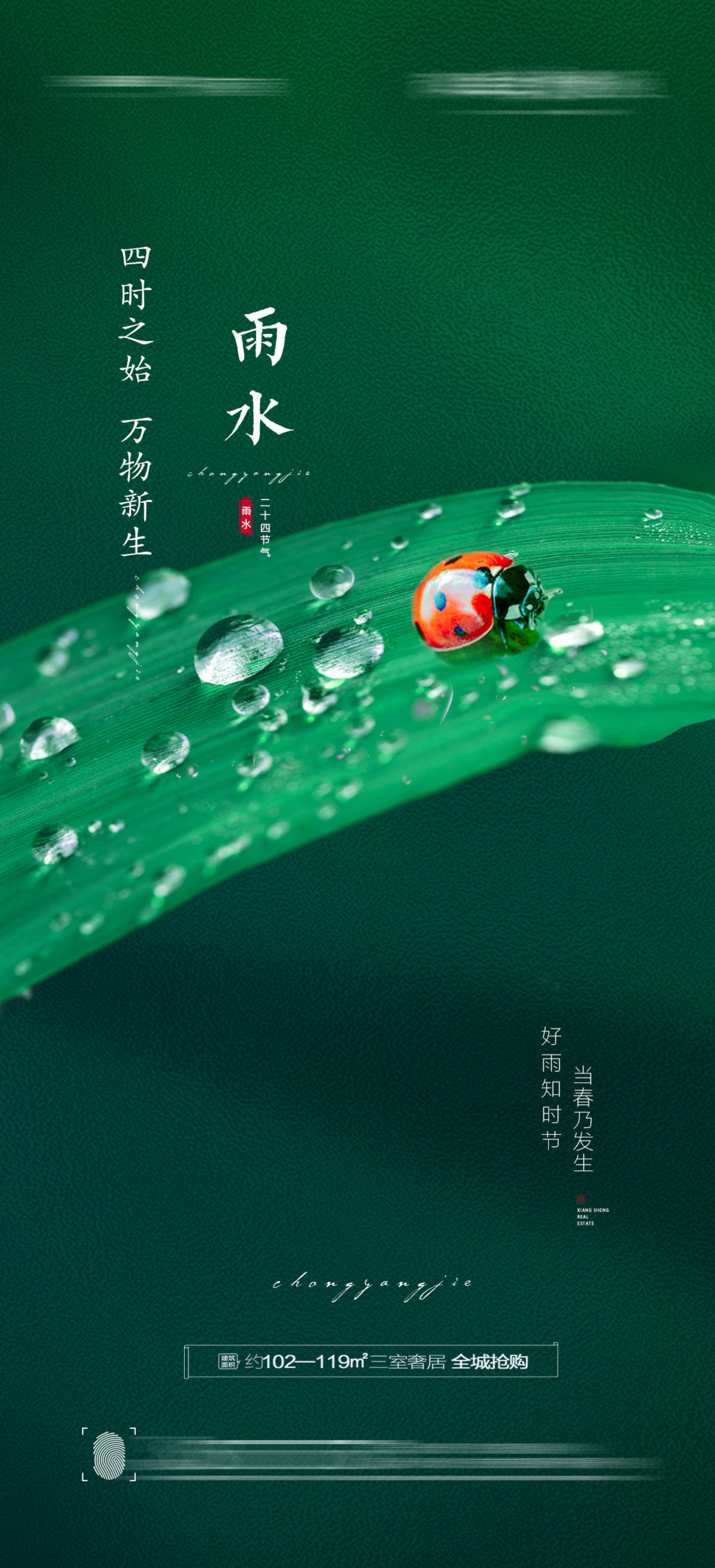 雨水节气海报