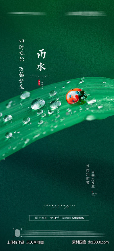 雨水节气海报 - 源文件