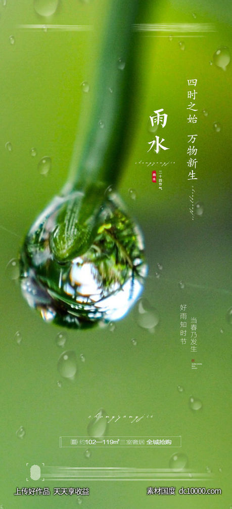 雨水节气海报 - 源文件