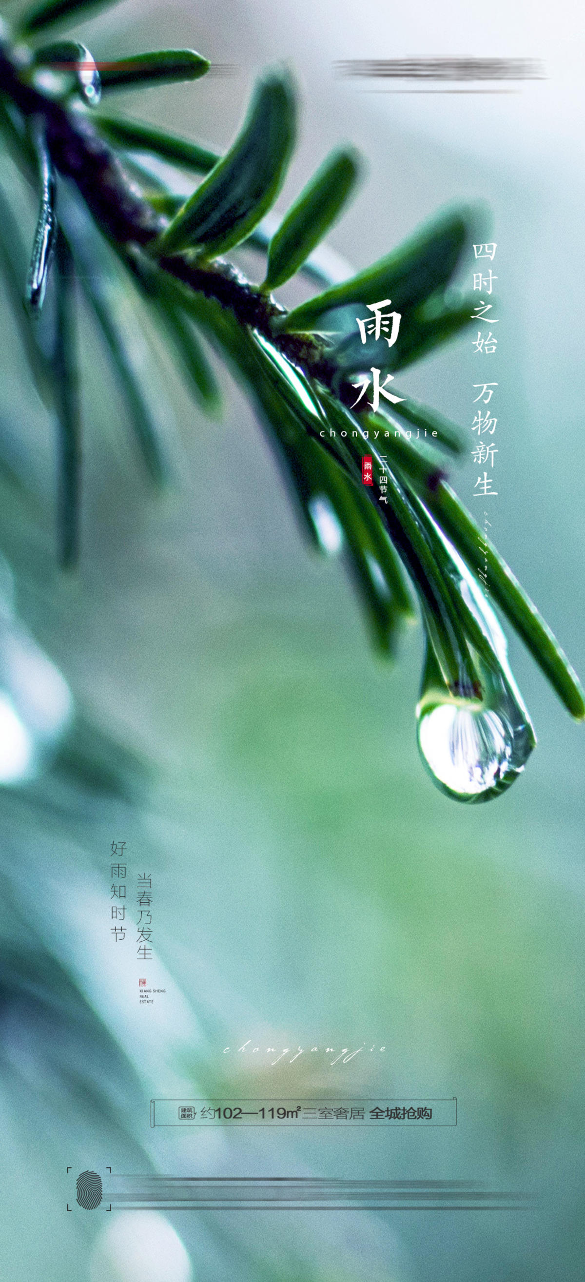 雨水节气海报