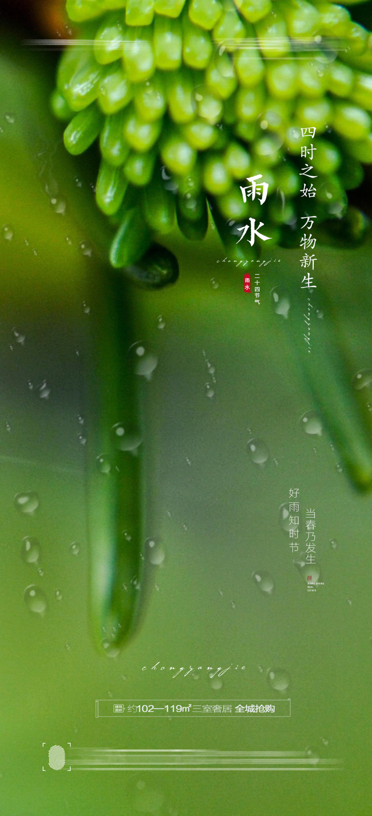 雨水节气海报