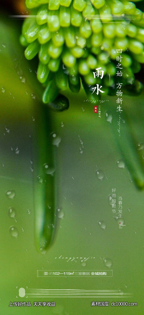 雨水节气海报 - 源文件