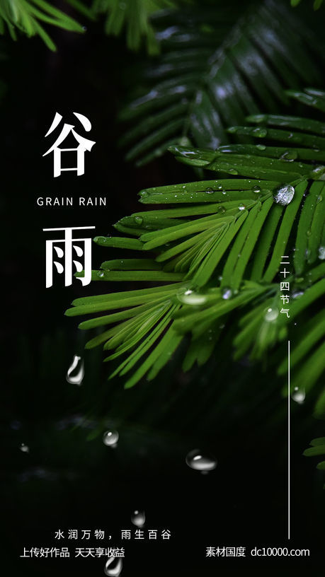 谷雨节气海报 - 源文件