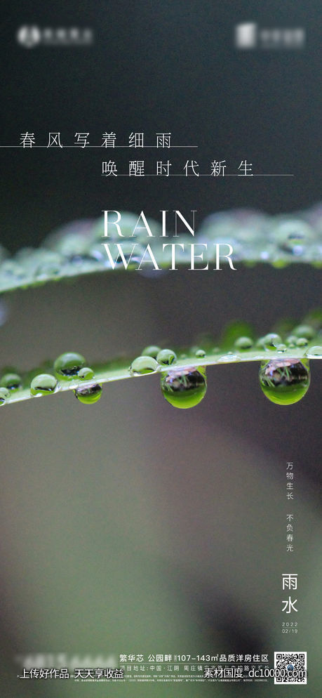 雨水节气海报 - 源文件