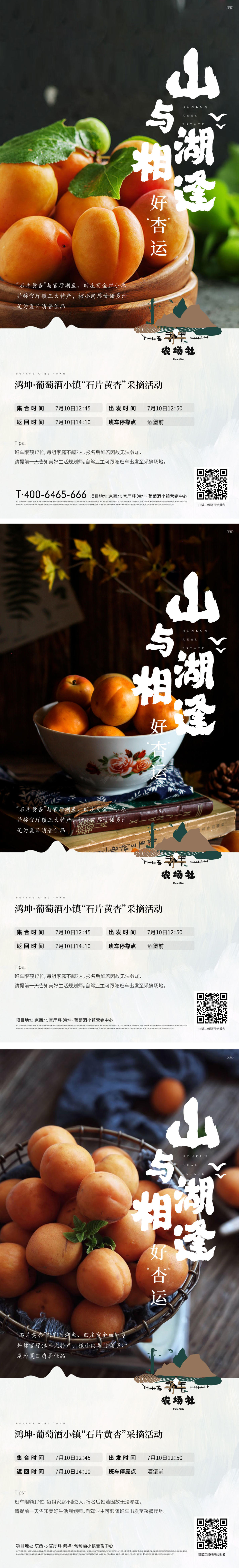  地产文旅朝花夕拾摘杏海报