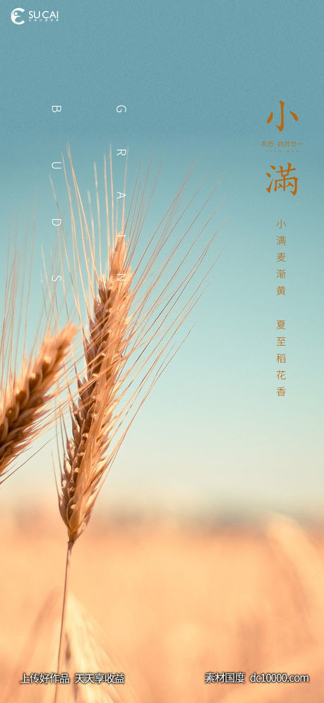 小满-源文件-素材国度dc10000.com