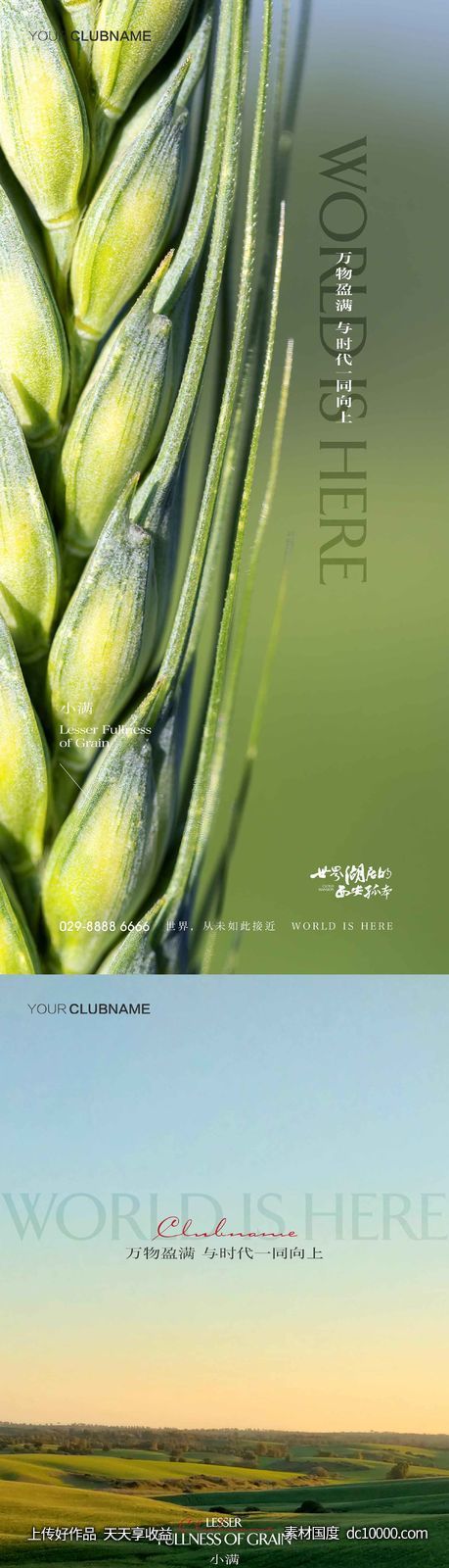 小满节气-源文件-素材国度dc10000.com