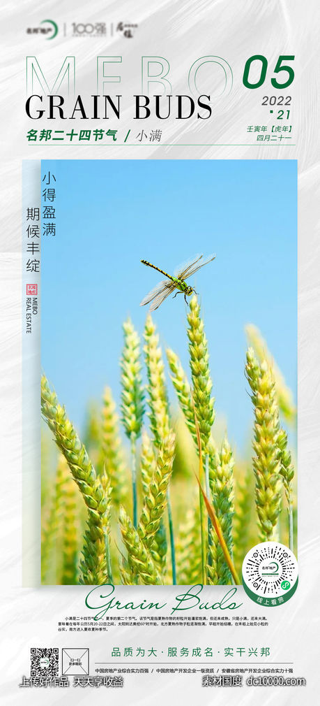 2022小满节气 - 源文件