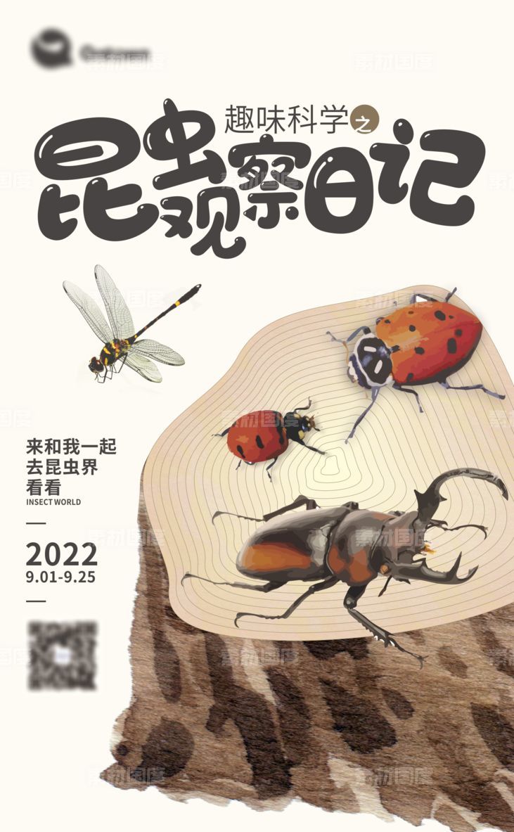 儿童绘画课程昆虫日记海报