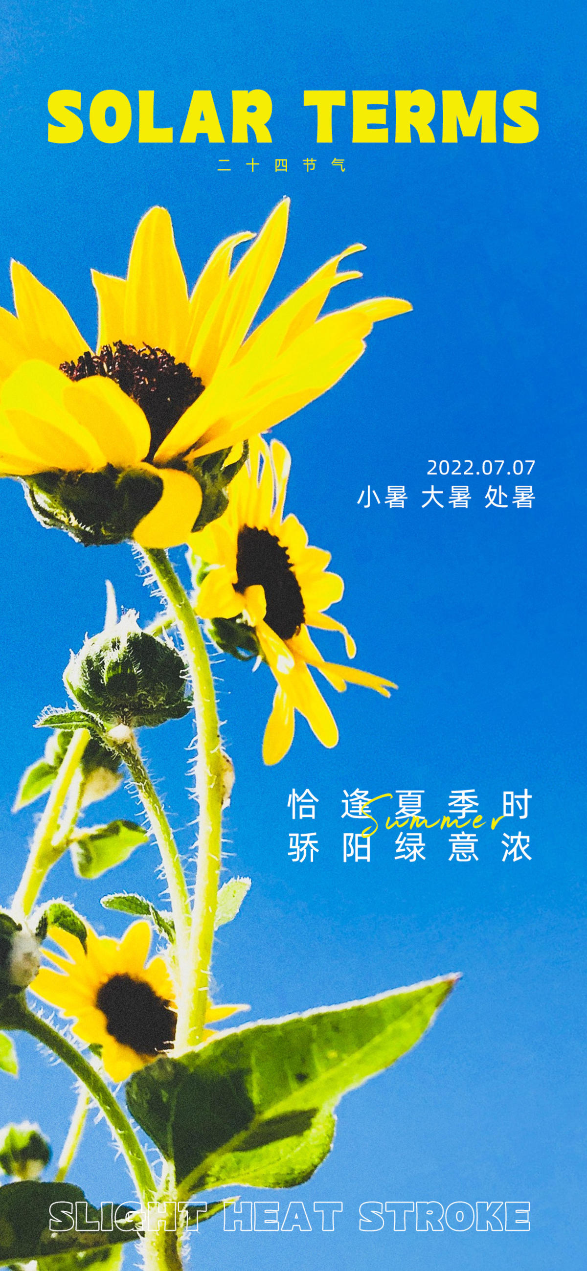 小暑大暑处暑海报