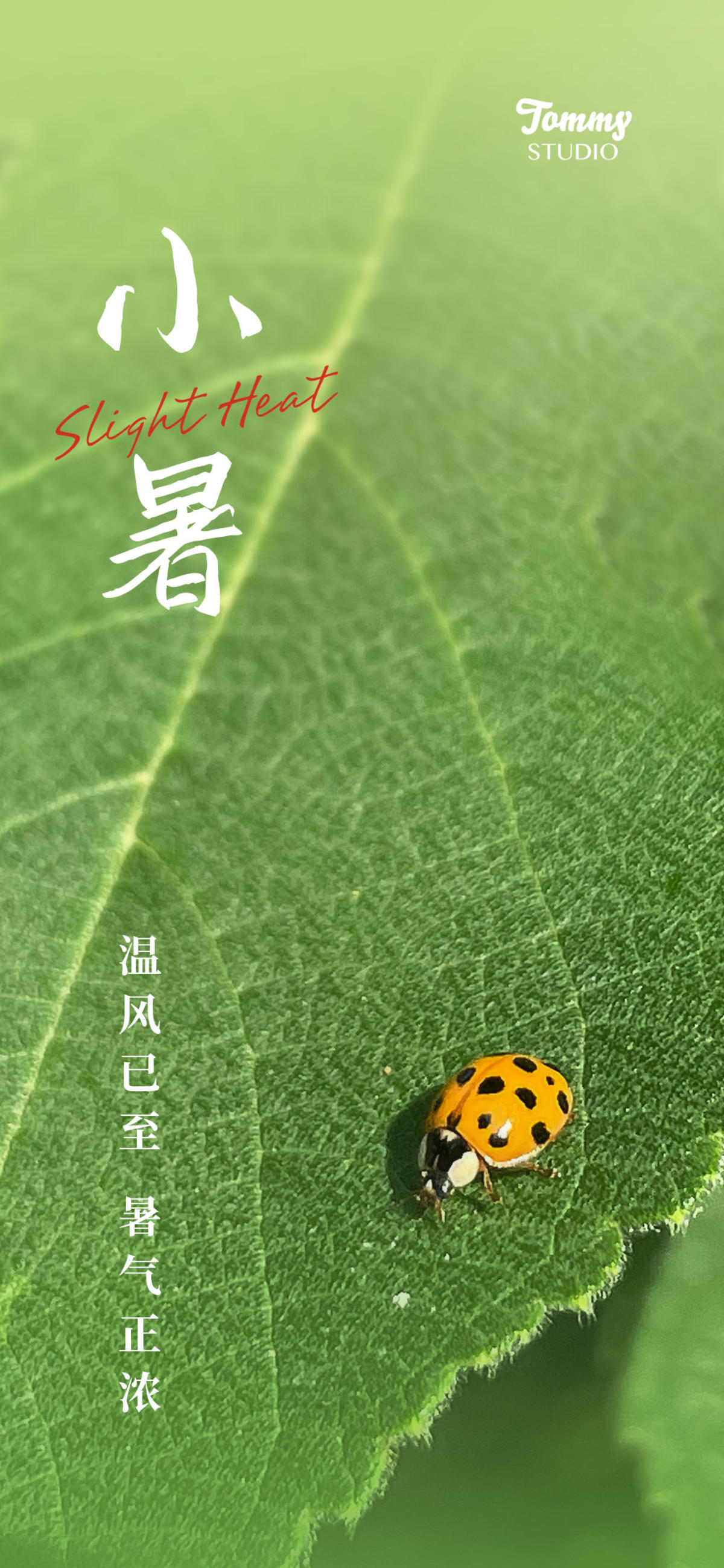 小暑