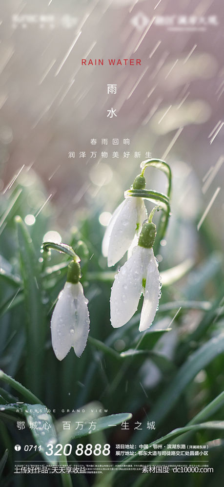节气 雨水 下雨 惊蛰 地产 下雨-源文件-素材国度dc10000.com