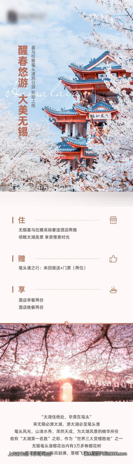 地产 春游 樱花 长图-源文件-素材国度dc10000.com