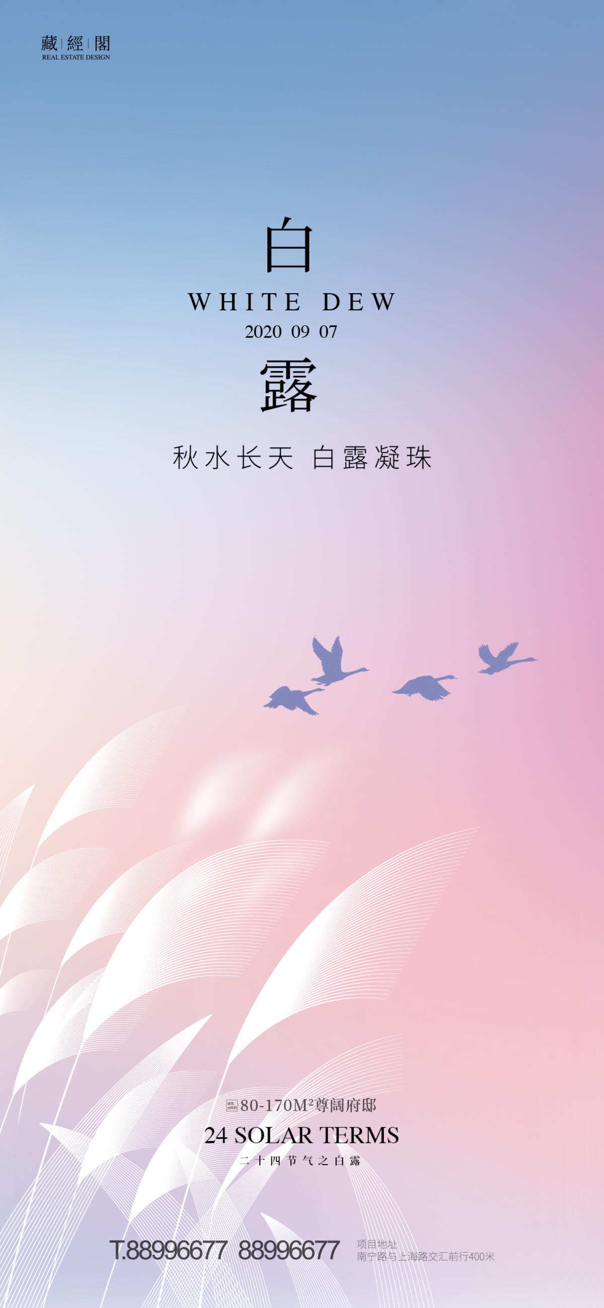 白露