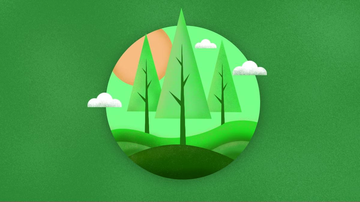 万物复苏，春意盎然