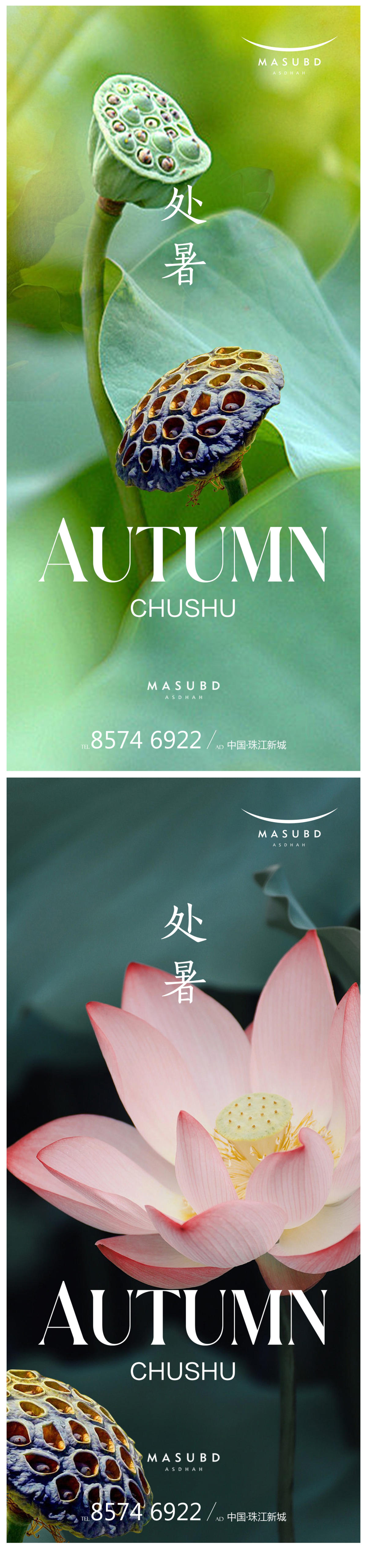 处暑秋分海报