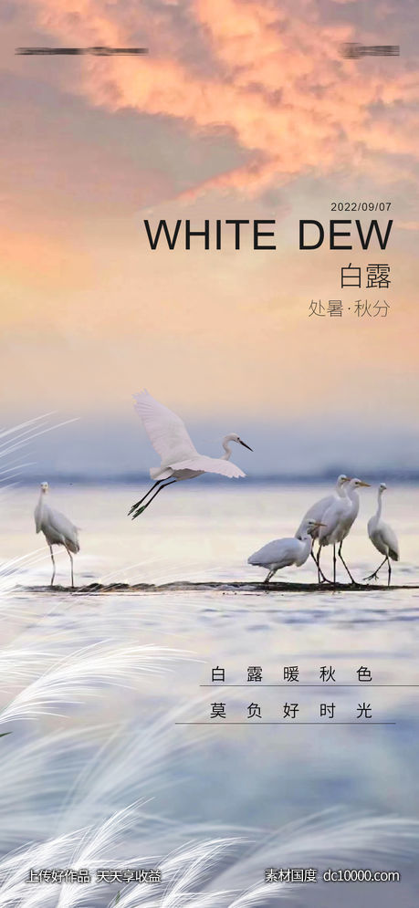 白露处暑 -源文件-素材国度dc10000.com