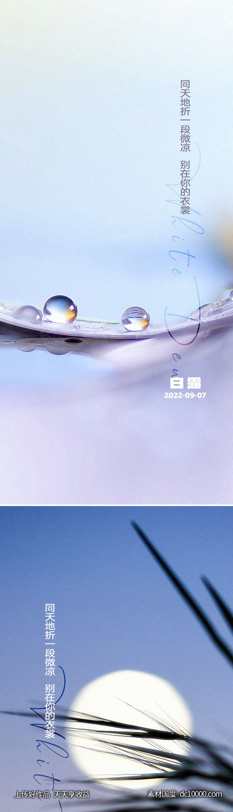 地产白露节气海报-源文件-素材国度dc10000.com