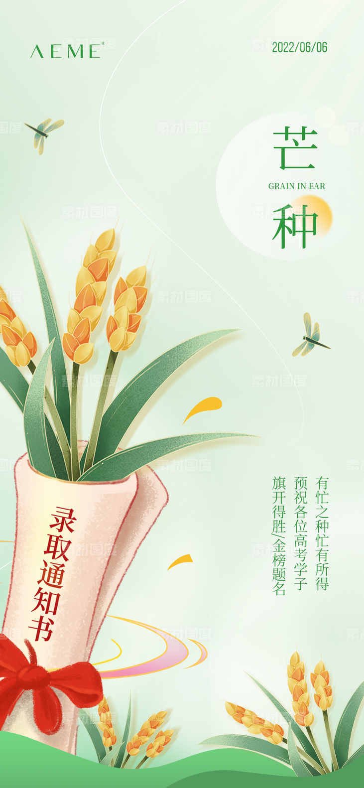 芒种简约风麦子高考传统节日节气海报