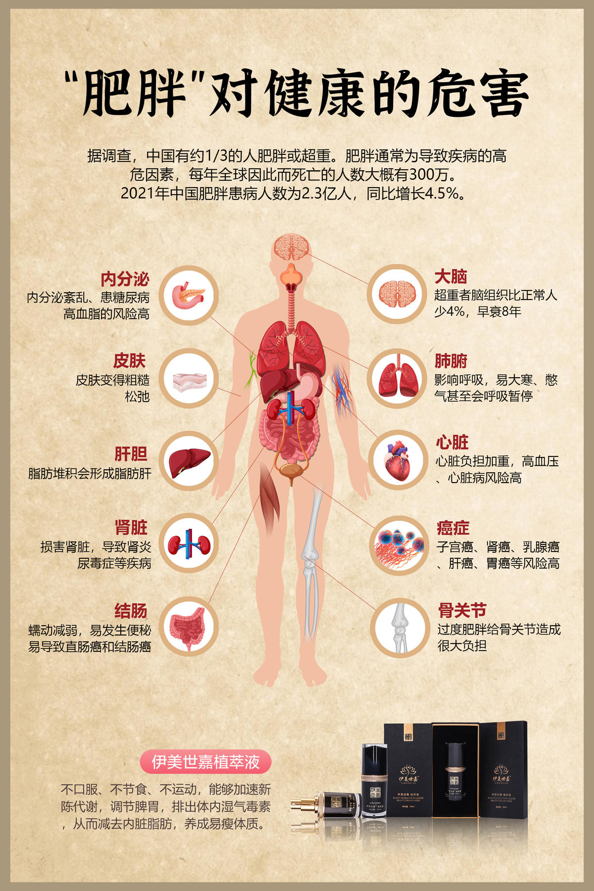 肥胖危害