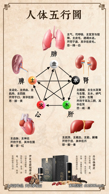 人体五行图-源文件-素材国度dc10000.com