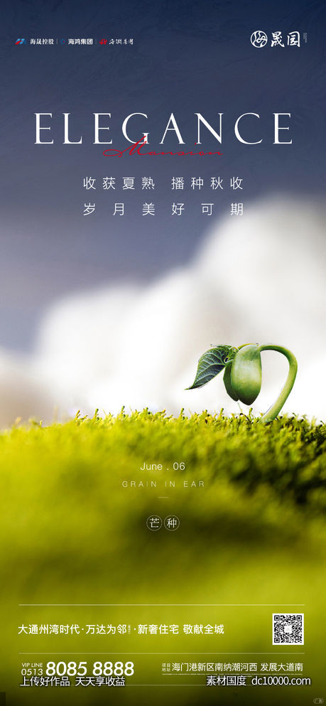 芒种海报-源文件-素材国度dc10000.com