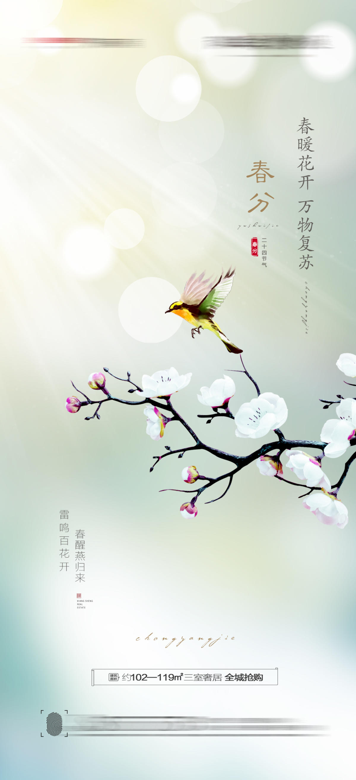 春分节气海报